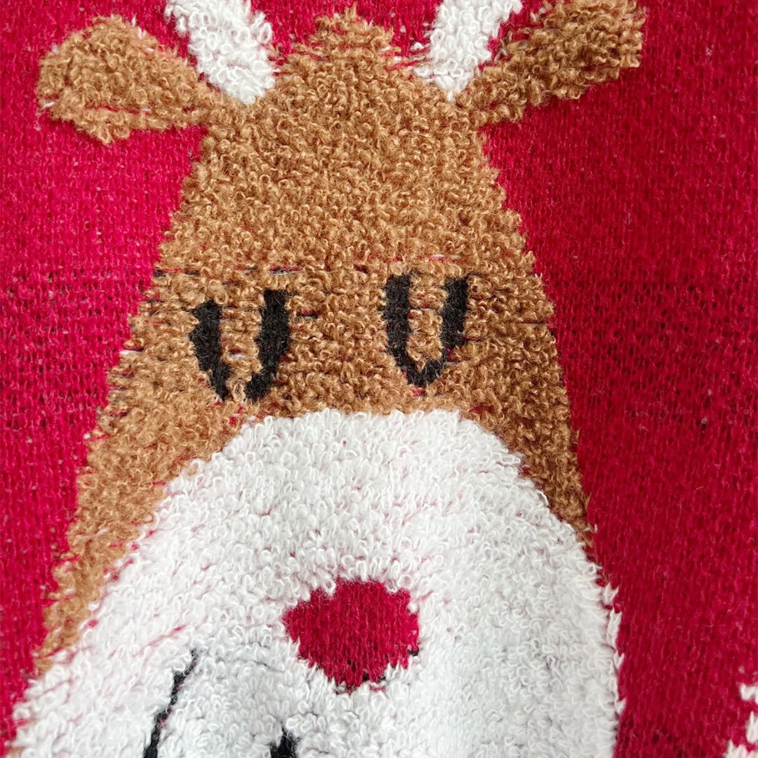 Women's reindeer holiday sweater